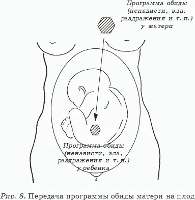 Программа обиды находясь у плода в районе таза нарушает нормальную функцию - фото 8