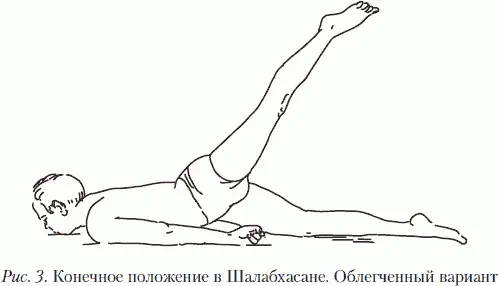 По мере повышения уровня тренированности количество повторений может быть - фото 4