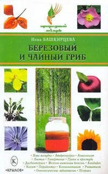Нина Башкирцева - Березовый и чайный гриб