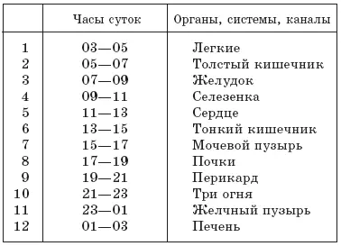 Суточная активность органов Бег босиком дополнительно оказывает благотворное - фото 1