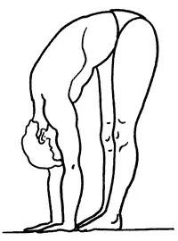 Рис 10 Рис 11 Рис 12 Рис 13 - фото 10