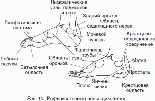В природе существует эффект дальнодействия Сущность этого феномена заключается - фото 11