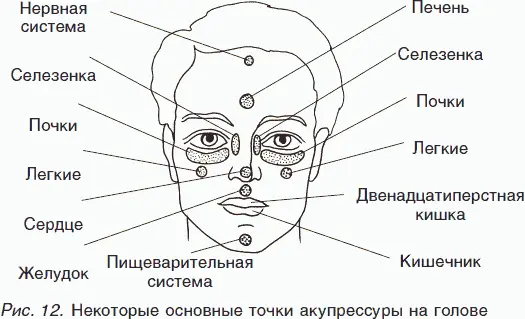В косметических целяхДля этого лучше всего использовать свежую активированную - фото 13