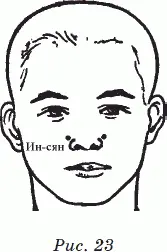 2 Потирание с силой области носа стимулирует кровообращение в слизистой - фото 21