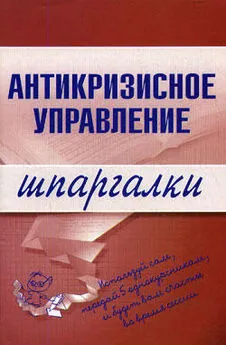 Олеся Бирюкова - Антикризисное управление