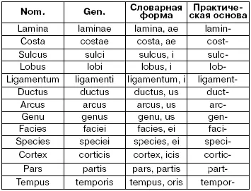 Практической основой называется основа к которой при cловоизменении - фото 5