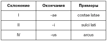 Существительные III и V склонений а также прилагательные III склонения и - фото 15