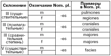 Обобщение данных об окончаниях существительных и прилагательных в им п мн ч - фото 16