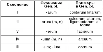 Окончание um имеют 1 неравносложные существительные всех трех родов - фото 18