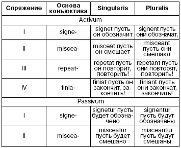 Винительный падеж Для грамотного написания рецептов необходимо усвоить - фото 34