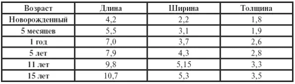 При росте почки наблюдается равномерное развитие нефронов Количество мочи - фото 26