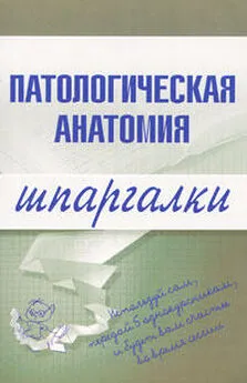 Марина Колесникова - Патологическая анатомия