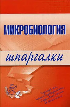 Ксения Ткаченко - Микробиология