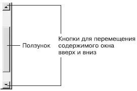 Рис 87 Вертикальная полоса прокрутки Полосы прокрутки бывают вертикальными и - фото 61