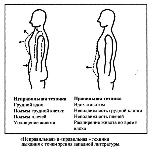 Чтобы понять механику происходящего сравним туловище с цилиндром состоящим из - фото 6