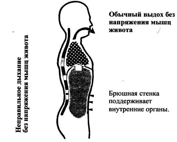 Б Положение в конце вдоха без напряжения мышц живота После диафрагмального - фото 8