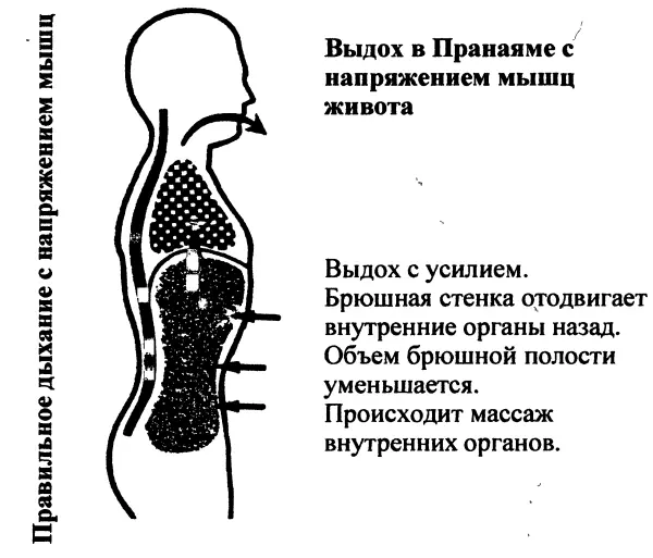 Г Йогический вдох с напряжением мышц живота Во время вдоха поршнеобразная - фото 10
