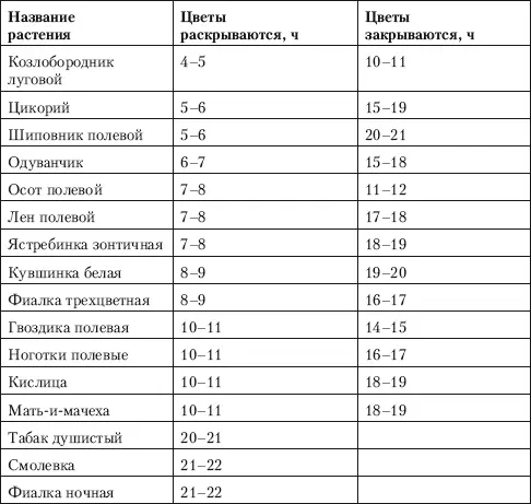 Приблизительно определить время в летние утренние часы можно также по - фото 65