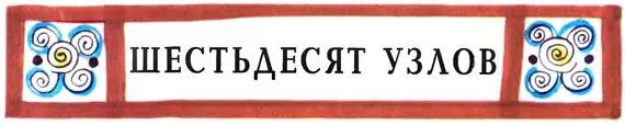 Дарий вторгся в Скифию с запада Он рассчитывал пройти всю страну скифов - фото 18