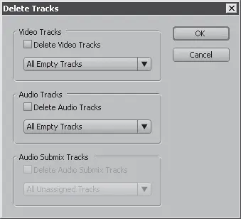 Рис 620Диалог Delete Tracks Удалить дорожки 3 Установите флажок Delete - фото 106