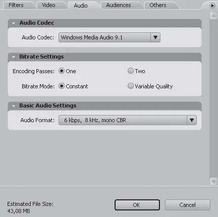 Рис 87Вкладка Audio Звук 2 В раскрывающемся списке Audio Codec Звуковой - фото 137