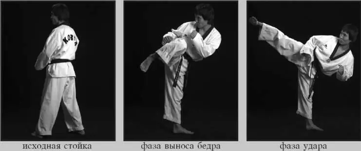 43113 Боковой прямой удар дальней ногой 43114 Боковой п - фото 58