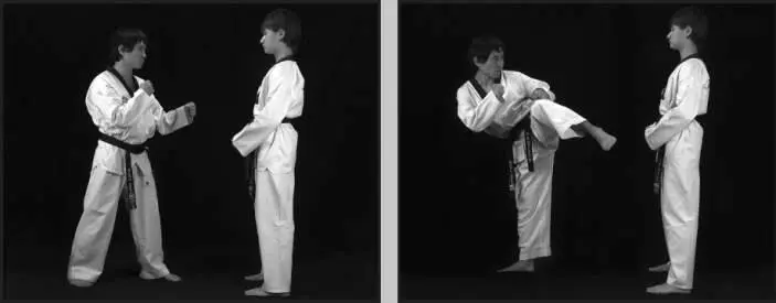 43117 Боковой реверсивный ближней ногой 43118 Боковой реверсивный в - фото 64