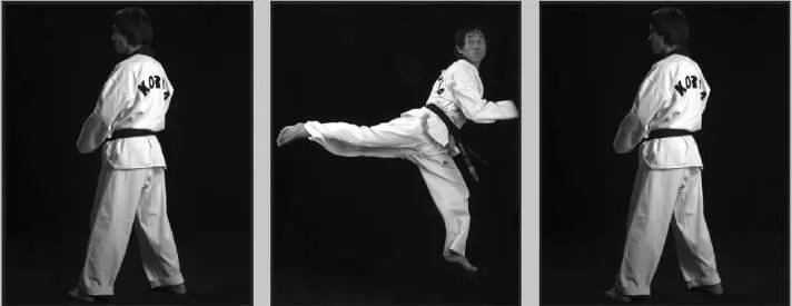 43121 Задний обратный прямой удар в прыжке 43122 Задний обратный - фото 69