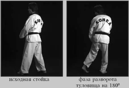 43122 Задний обратный круговой удар 43123 Задний обратный круговой - фото 70