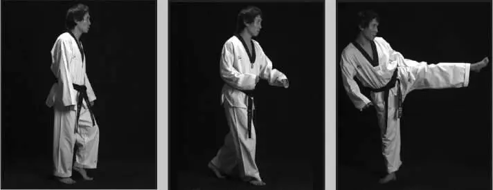 74113 Имитация бокового удара сбоку левой ногой при движении вперед в - фото 218