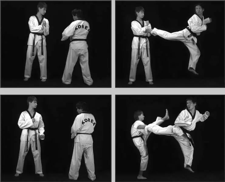 742108 Отработка заднего обратного удара прыжком в качестве встречного в - фото 396