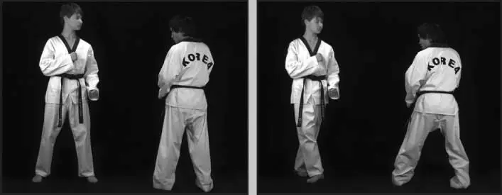 742109 Отработка заднего обратного удара прыжком в качестве встречного в - фото 397