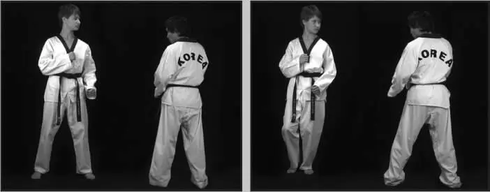 742110 Отработка заднего обратного удара прыжком в качестве встречного в - фото 399