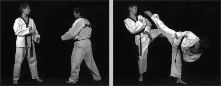 742115 Отработка обратного кругового удара в паре с партнером без - фото 406