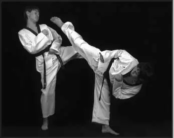 742115 Отработка обратного кругового удара в паре с партнером без - фото 407