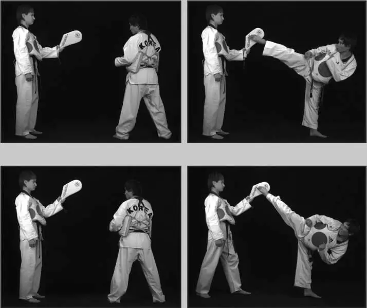 742118 Отработка обратного кругового удара в паре с партнером на лапе - фото 410