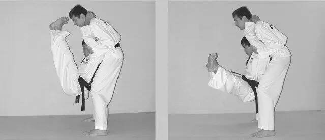 Тхэквондо Теория и методика Том1 Спортивное единоборство - фото 454