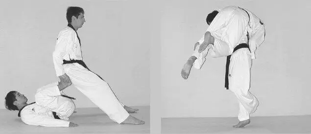 Тхэквондо Теория и методика Том1 Спортивное единоборство - фото 456