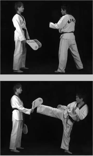 Рис 9523 Постановка лапы для бокового удара сбоку дальней в туловище Рис - фото 468