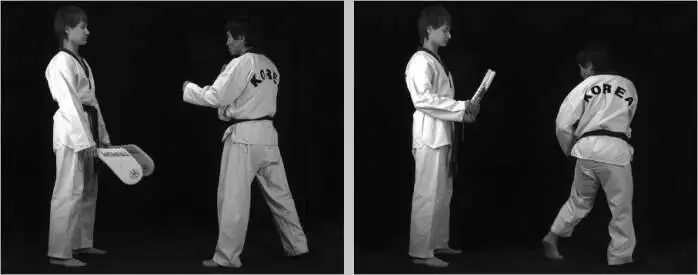 Рис 9527 Вариант постановки лап для заднего обратного удара Рис 9528 - фото 472