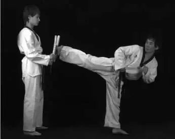 Рис 9527 Вариант постановки лап для заднего обратного удара Рис 9528 - фото 473