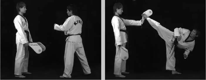 Рис 9528 Вариант постановки лап для обратного кругового удара Рис - фото 474