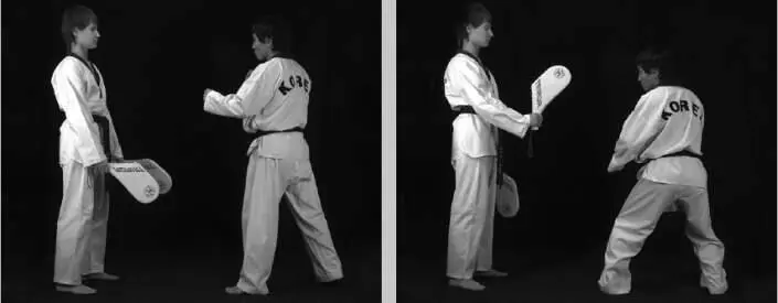 Рис 9529 Вариант постановки лап для имитации встречного удара Частота - фото 475