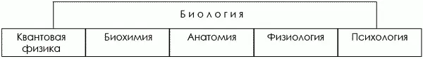 Без возможности объективно интерпретировать химические реакции и их влияние на - фото 496