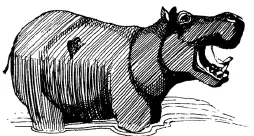 Рот у бегемота широкий челюсти особенно нижняя вооружены огромными зубами - фото 5