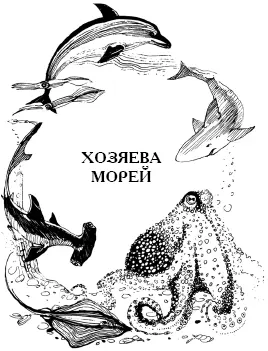 Акула Акула Selachomorpha хищная рыба Тело у акул мощное длинное - фото 31