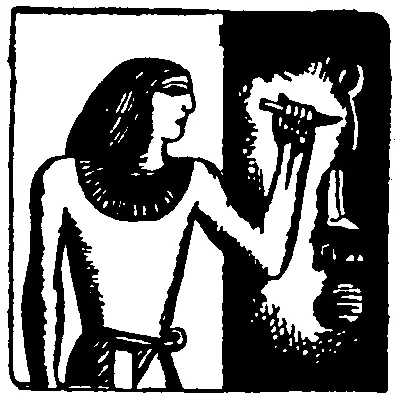 Самые древние иероглифические тексты Египта датируются XXXII веком до н э - фото 11