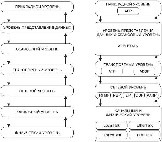 Рис 54 Распределение протоколов стека AppleTalk по уровням модели ISOOSI - фото 25