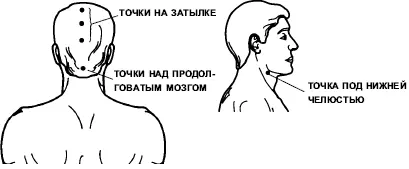 Рис 53 Точки для надавливания для повышения пониженного артериального - фото 49