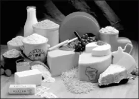 В РАЦИОН БЕРЕМЕННОЙ СОБАКИ ДОЛЖНЫ ВХОДИТЬ МОЛОЧНЫЕ ПРОДУКТЫ Начиная с 45го дня - фото 115